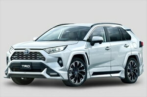 XA50^ RAV4 Xg[gX^[ tgX|C[(LEDt) ICS tHOtԗp fn ht