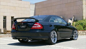 BENZ CLK-Class W209 Super Wide Edition Rear Wing