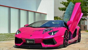 Lamborghini Aventador LP700-4 SQUALO FRP Type Aero Parts �t�����g�A���_�[�X�|�C���[ 3�s�[�X FRP�� �h���ς�