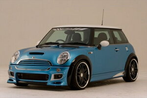 BMW MINI R50/53 N[p[S VOUGE EURO Ver.2 tgop[ FRP ht