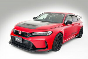 FL5 VrbN TypeR ARISING-1 CgEGCg {lbg CARBON{