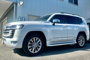 hN[U[ 300(fB[[) E2{o TCh}t[ I[oXeX 118×80×2