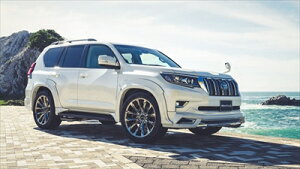 hN[U[ vh 150n H29/9~R2/7 SPORTS LINE I[o[tF_[ hς