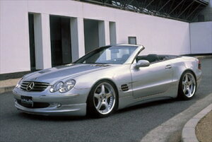 SL-class R230 EXECUTIVE LINE SIDE STEP(�`06y �h����t��