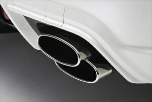 S-class W221 MC/after SPORTS LINE Black Bison Edition D.T.M SPORTS MUFFLER CUTTER (PILED160X2)(2010y`) t