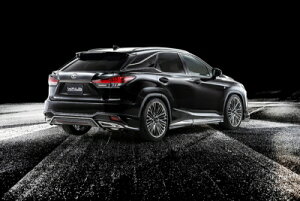 NTX RX F-SPORTS R1.9-R4.6 AXJ[g ABS h