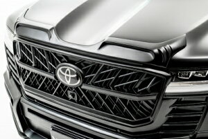 hN[U[300 BLACK BISON EDITION tgO ABS h