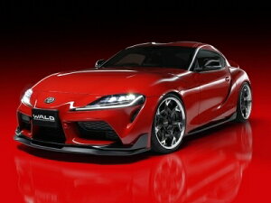 DB## GR X[v SPORTS LINE 2PLbg (F,R)