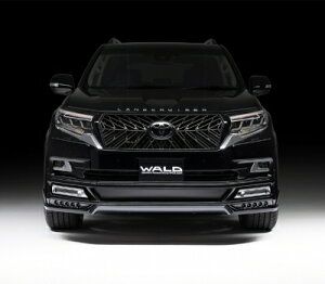 hN[U[ vh 150n H29/9`R2/7 BLACK BISON EDITION tgX|C[p LEDv