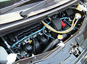 fJ D:5 BOWLISH _CNgA[XLbg