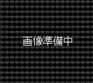 MtHeBXX|[cobN RA {lbg_p[