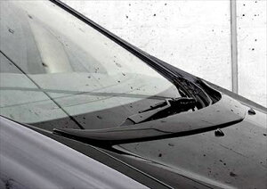 At@[h O ( ANH/MNH ) EXE-LINE {lbgX|C[ hς