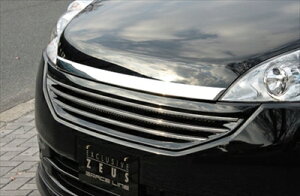 XebvS  ( RG1/2 ) GRACE-LINE tgO