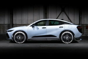 TZSH35 / AZSH35 NE NXI[o[ CROSS LINE tF_[[ V{HubNdl