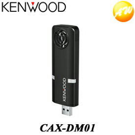 KENWOOD 低濃度オゾン発生器 USBタイプ CAX-DM01
