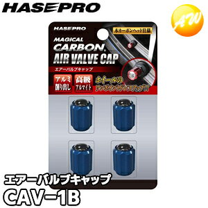 CAV-1B }WJJ[{ GA[ouLbv u[ ЃnZEv HASEPRO 䂤pPbg