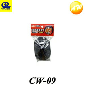 CW-09 R[ ^CbNXpX|W ւ