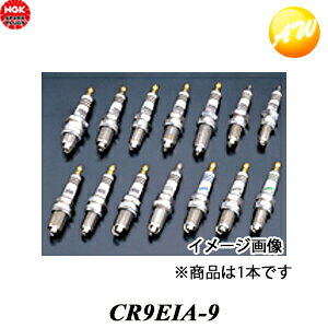 CR9EIA-9-6289 NGK@Xp[NvO [q`@lW^@Rrjs 䂤pPbg