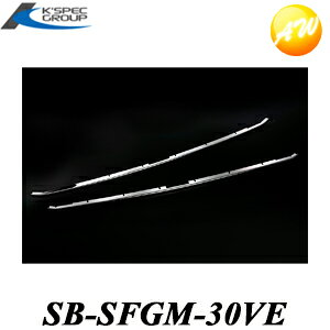 SB-SFGM-30VE SilkBlaze 30Ft@CA XeXtgO[2P ubNN[ P[XybN@Rrjs