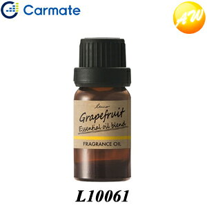 L10061 [m fBt[U[p VRuhIC O[vt[cuh J[Cg@Rrjs 䂤pPbg