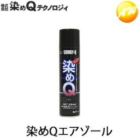 染めQエアゾール 264ml スプレー 染めQテクノロジィ　コンビニ受取対応