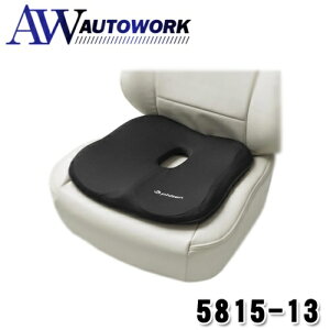 BONFORM {tH[ t@Ce ANA`^pNbV qbvNbV 44×44cm ubN ᔽ NbV  J΍ phiten 5815-13BK J[pi ԓpi NbV 