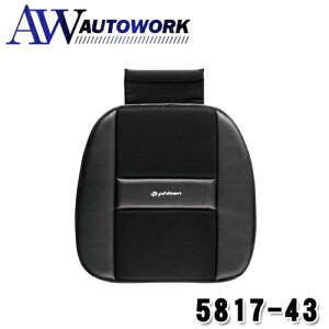 BONFORM {tH[ t@CeJ[{ ANA`^pNbV qbvNbV 45×45cm ubN ᔽ n^ bVf  J΍ phiten 5817-43BK NbV J[V[g