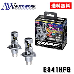 IPF E341HFB LED �G�t�F�N�^�[II �w�b�h&�t�H�O�o���u6500K �V���[�Y H4 �w�b�h���C�g �t�H�O�����v LED �ԗp H4 Hi Lo�ؑ� 5000lm 4200lm �z���C�g 12V�p 2�{�� �Ԍ��Ή� �h���C�o�[���j�b�g��̌^ �_�u����