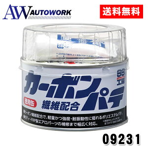 �\�t�g99 SOFT99 09231 �J�[�{���@�۔z���p�e320g ��C�p�i �J�[�{�� �@�� �p�e ������ �{�f�B �ւ��� ��C �K �h�K ������ �C�� |�{�f�B��C �p�e ��C�p�i �����ԕ�C �ւ��ݕ�C ����C ������