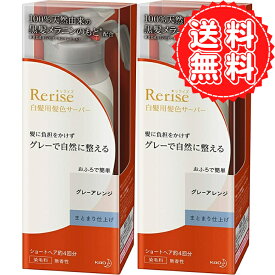 リライズ グレー 白髪染め まとまり グレーアレンジ 自然なグレー まとまり仕上げ 男女兼用 本体 155g ×2 送料無料