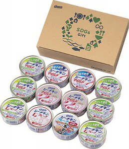   ͂t[Y SDGsV[`LMtg SDGs[30 j Ԃ MtgZbg oYj j j  䋟 Ε Ε ܎Oj TԂ e{