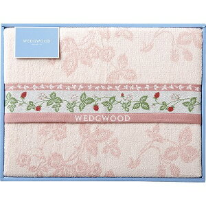   EFbWEbh ChXgx[ ^IPbg sN FR83600050P j Ԃ MtgZbg oYj j j  䋟 Ε Ε ܎Oj T