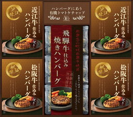 送料無料 送料込 匠や本舗松阪牛・近江牛・飛騨牛銘牛仕込み焼きハンバーグ詰合せ HRYH-50 内祝い お返し ギフトセット 父の日 お中元 出産内祝い 結婚内祝い お供え 御供 香典返し 粗供養 快気祝い 快気内祝い