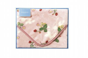   EFbWEbh ChXgx[ ANЂ| sN FQ88400050 j Ԃ MtgZbg oYj j j  䋟 Ε Ε ܎Oj 