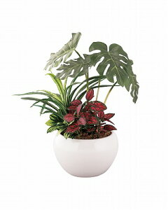 SCG}H gsJ񂹐A|bgXeitFCNO[j FG1000 ̂Es