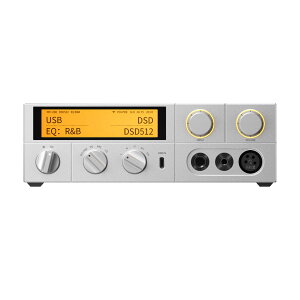 K17 Silver [FIO-K17-S] FiiO [tB[I] USB DACwbhzAv