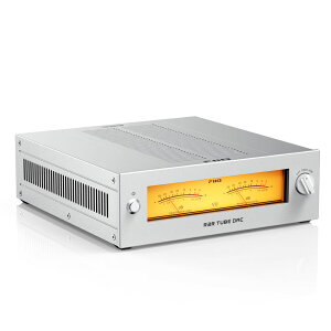 WARMER R2R Silver [FIO-WARMERR-S] FiiO [�t�B�[�I] D/A�R���o�[�^�[