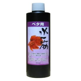 楽天市場 ベタ バクテリアの通販