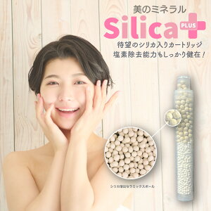 { espiral GXpC p V[wbh VJ J[gbW SilicavX 1 / 3 f V[ wbh f  e V[wbhJ[gbW eV[ f