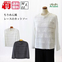 楽天市場】ちりめん ブラウスの通販