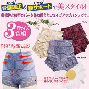 �y���������z�ꕔ�n��ΏۊO �␮ �K�[�h�� �������߉������y�C���i�[�z�sM�`3L�T�C�Y�t���Ջ��������T�|�[�g�V�F�C�v�p���c3�F�g�@1��������1,829�~