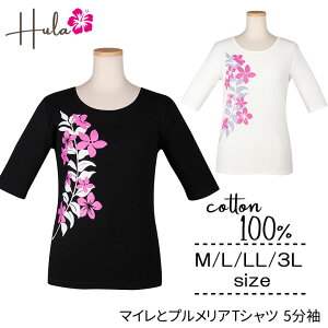 A@Viyt_Xz }CƃvATVc 5 TK3556-3715 t_X ߑ TVc 5 gbvX K 100fB[X nCA }C vA  