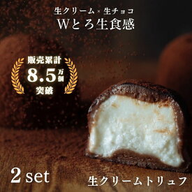 【2箱セット】生クリームトリュフ 2箱セット 生チョコ 生クリーム 2025 プレゼント ギフト プチギフト 贈り物 送料無料 生チョコトリュフ チョコレート トリュフ チョコ 生チョコレート チョコトリュフ ［北海道・沖縄への配送不可］［冷凍］