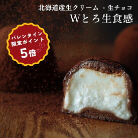 【バレンタイン限定ポイント5倍】 生クリームトリュフ 生チョコ 生クリーム バレンタイン チョコ 2026 ホワイトデー プレゼント ギフト プチギフト 贈り物 送料無料 生チョコトリュフ チョコレート トリュフ 生チョコレート チョコトリュフ［冷凍］