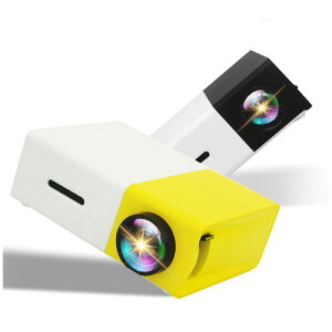 ^ vWFN^[ YG300 ~jvWFN^[ q VA^[ ƒp RpNg HDMIΉ