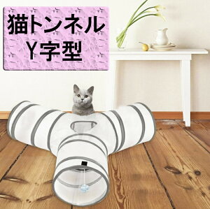 y݌ɏZ[zlR gl Y^ qL Lbggl Y^ Lgl  IV [bagt F ܂肽ݎ LV XgXU ^s ΍ Lp L L