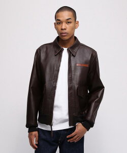 AVIREX ʔ́bsMADE IN USAtA-2 HORSE/z[XnCh(ArbNX ABbNX)Y j