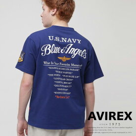 AVIREX 公式通販｜BLUE ANGELS EMBROIDERY SHORT SLEEVE T-SHIRT/ブルーエンジェルス エンブロイダリー Tシャツ