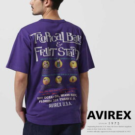 AVIREX 公式通販｜BIKINI COUNTY T-SHIRT COCKTAIL / ビキニ カウンティ Tシャツ カクテル(アビレックス アヴィレックス)メンズ 男性