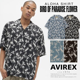 楽天市場】☆SALE｜AVIREX 公式通販｜V-NECK BORDER KNIT / Vネック 